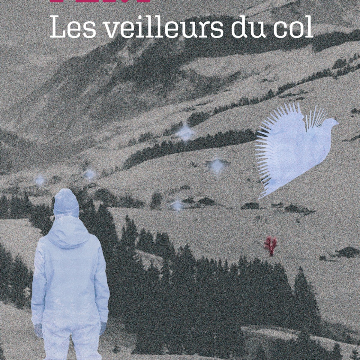 FERT – les veilleurs du col&nbsp;(roman)